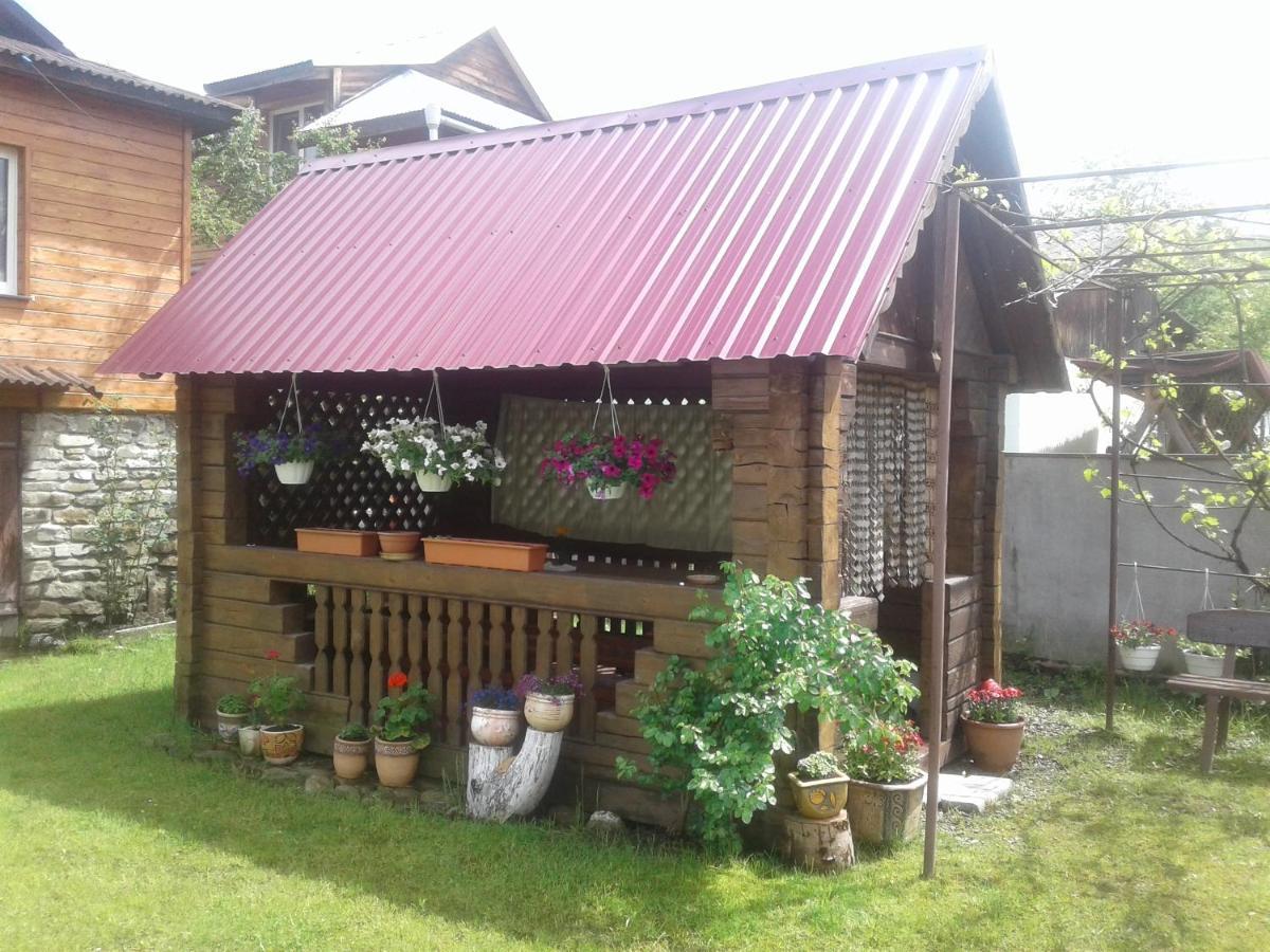 Міні Котедж Verhovîna Exterior foto
