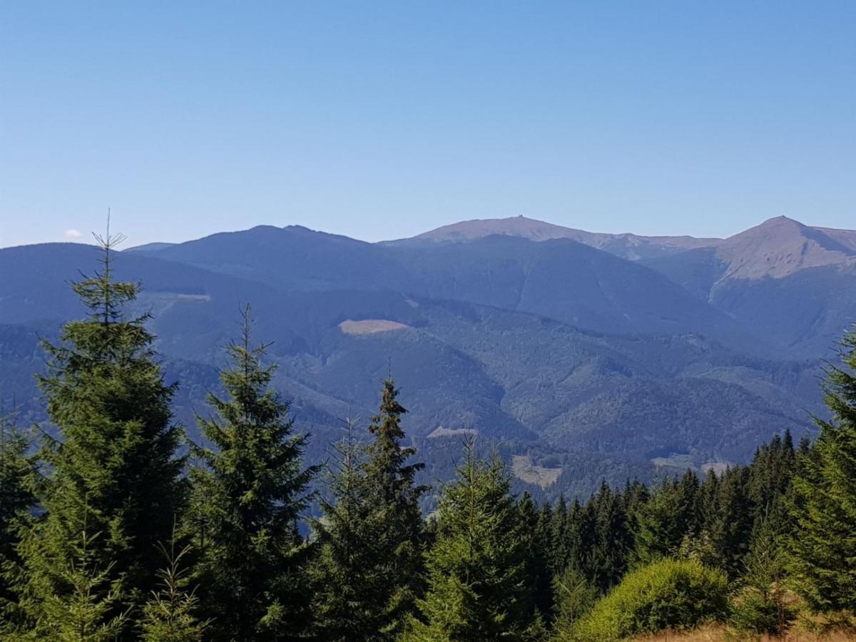 Міні Котедж Verhovîna Exterior foto